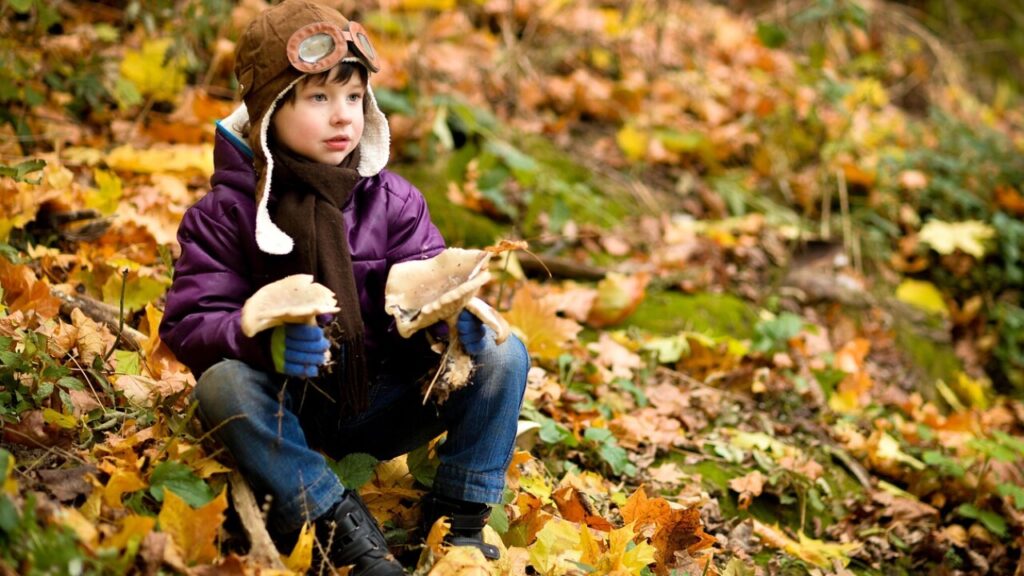 Strickanleitung für Kinderjacken kostenlos – PDF jetzt herunterladen